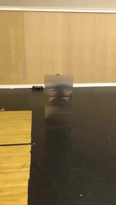 Görünmezlik kalkanı