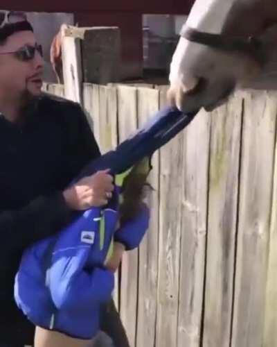 Don’t disturb the horse while he eats