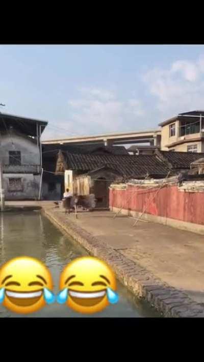 What would you do! Runnnn