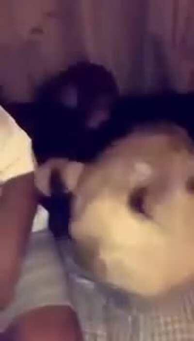 Espero y mi pana oslo lo vea