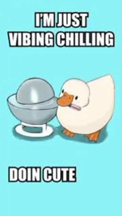 Oh what an innocent duck. 