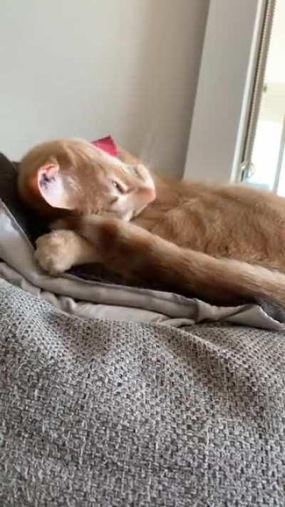 Strumming my heart strings