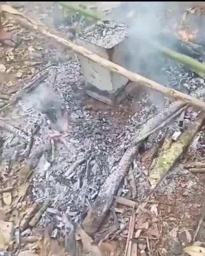 SLPT: Cook your Chicken the Traditional Way