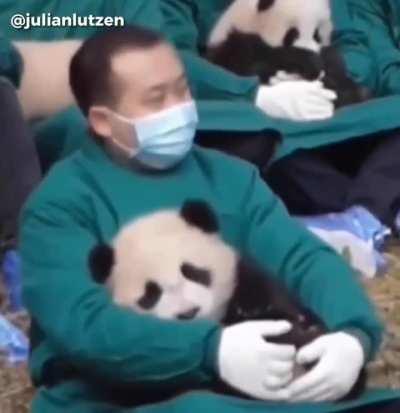 And they said the ideal job didn't exist...