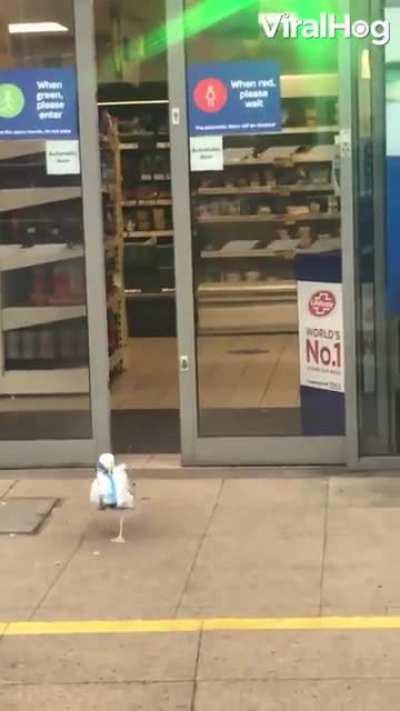 Like some of us I guess lol