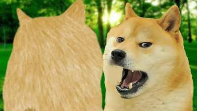 Le Denial Has Arrived