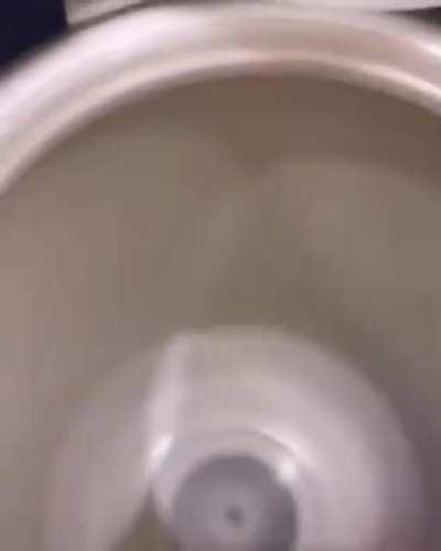 MAMAAAAAAAAAAAAAAA MIAAAAAAAAAAAAAAAAA