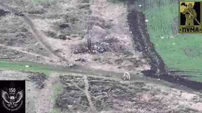 Ukrainian Puma Group FPV drone operators hunt down Russian infantrymen. Village of Vovkove, Donetsk region. [05.2025]