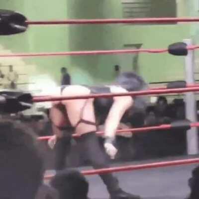 Rebel shaking it 🍑