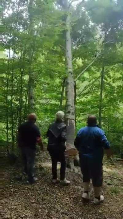 Funniest Video I've seen. 😂