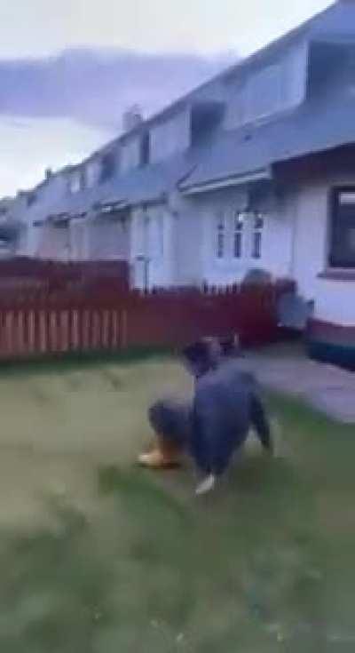 HMB whilst I jump of the roof