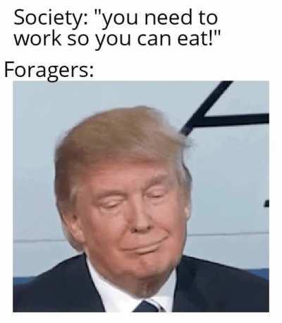 It's an all you can eat buffet outside!