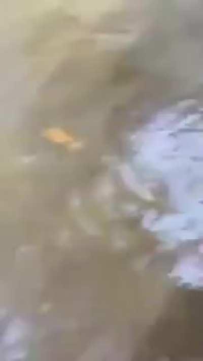 Working while the locals disrupts you