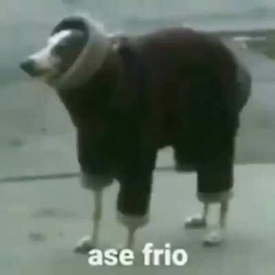 Asé frio