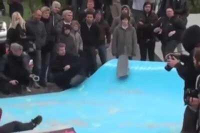 Enjoying a day at the park.