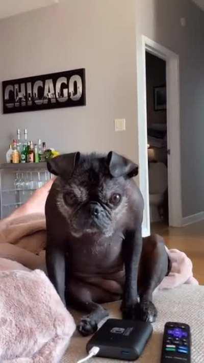 Someone is watching me