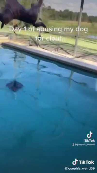 My soul left the chat