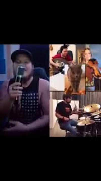 Mais uma musica para alegrar o seu dia