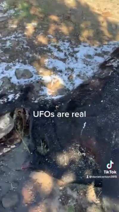 UFOs at it again