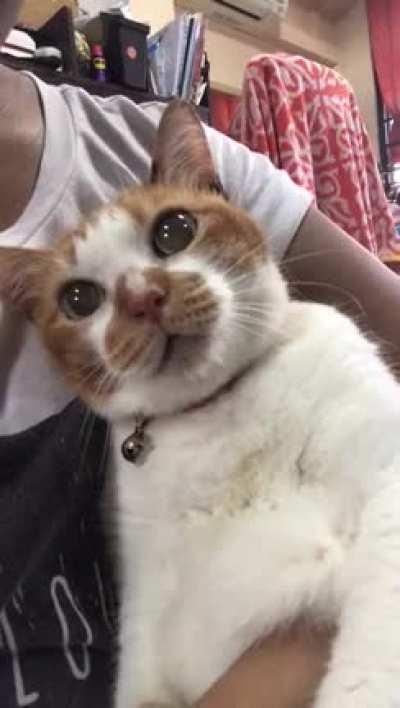 It's been a difficult year, and this is my story. My October blues.