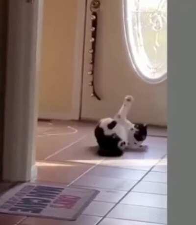 Don't just stand there, bust a move ...