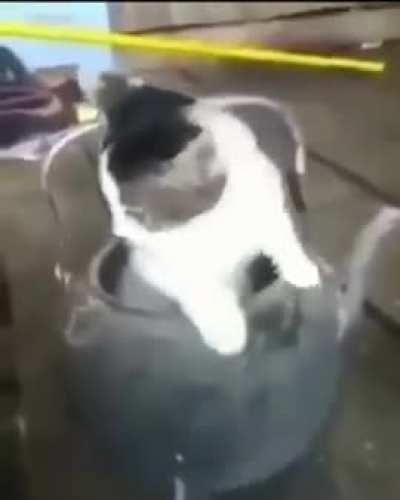 Zyada kuch nahi, you can ask only one wish