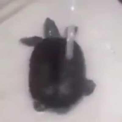 M u m b o J u m b o v i b i n g