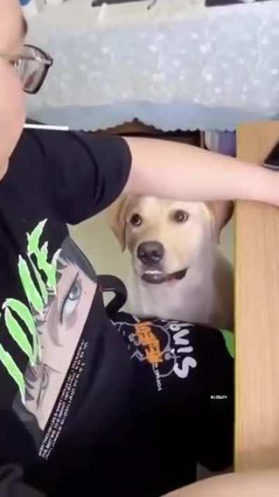 No Idea what to do next :)