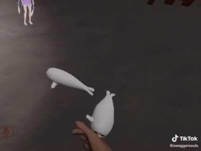 Learning Korean from Seals