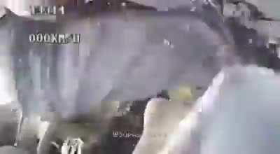 damn glad i want in the show