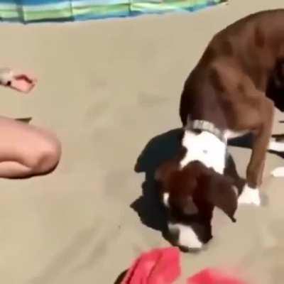 What witchcraft magic is that????