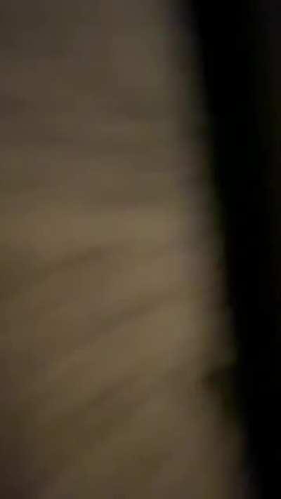 There’s a cat in this video, I promise.