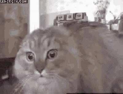 The one thing keeping me from playing foxhole again