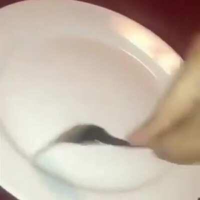 Thicc af damn 🤤🤤👅