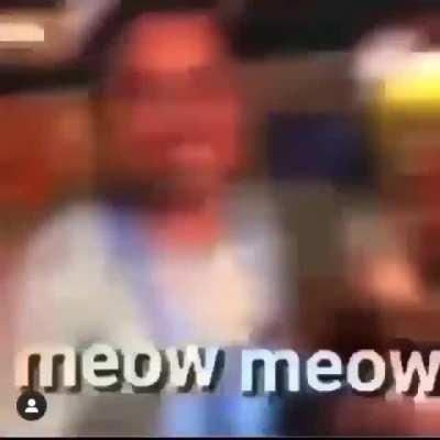 Meow meow...