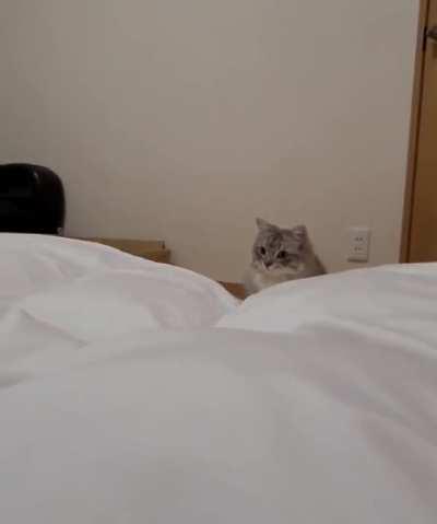 thought for a long time and still decided to jump