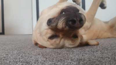 Not sure of he appreciated this...