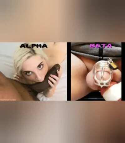 Ladies... want your man to suck cock? Just keep feeding him babecock videos... he'll be on his knees before you know it