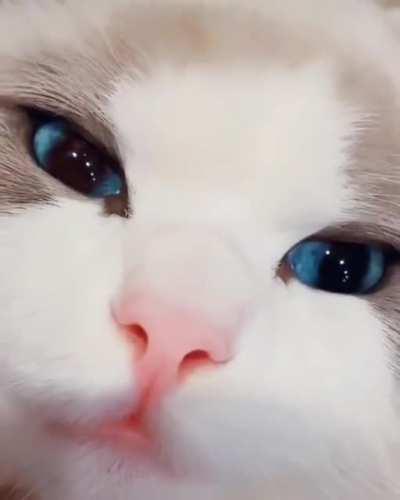 Look at those blue eyes