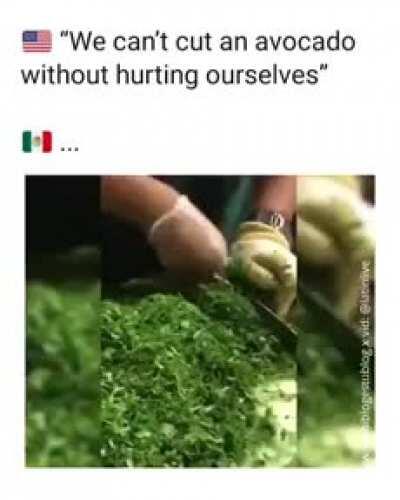 *Sostén mi cerveza*