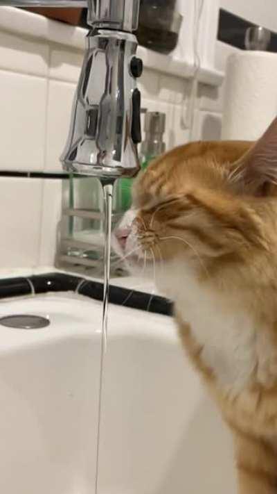 Ham has a drinking problem