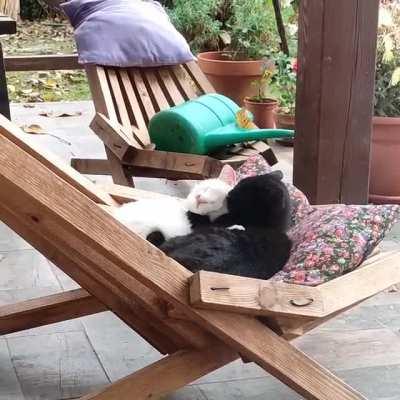 I just checked on him... And he brought home some white chick... Smh...