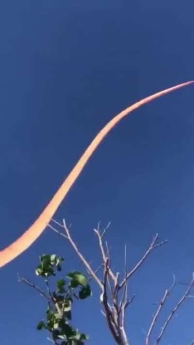 Trying to fly a kite