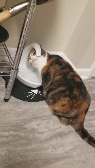 Look at that beautiful face 😂