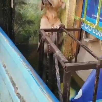 Because every life is precious!