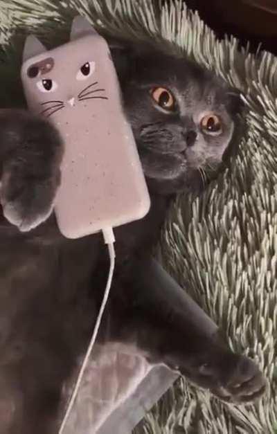 Звонок в службу поддержки