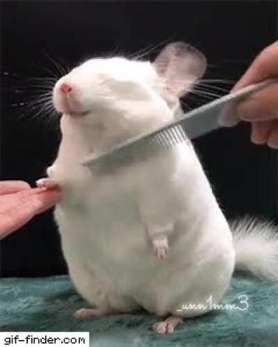 ‘Man I can get used to this’