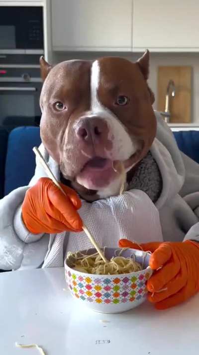 Dog goes hard on noodles.