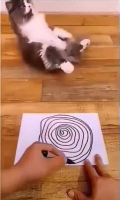 Couldn’t stand the spirals