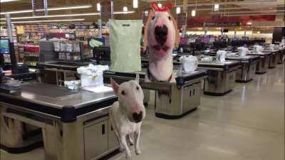 Le Cringe In My Pants has arrived (Volume on)